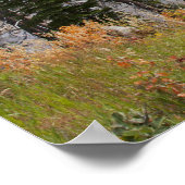 Provo rivier- en espenbomen poster (Hoek)