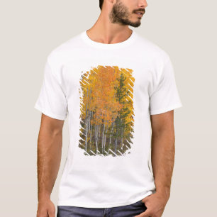 Provo rivier- en espenbomen t-shirt