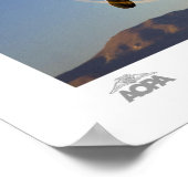 Provost Gallery Poster (Hoek)