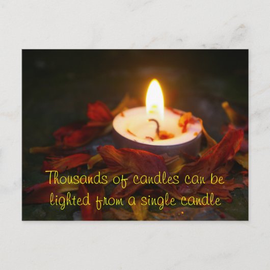 Provotie - Citaat Briefkaart (Voorkant)