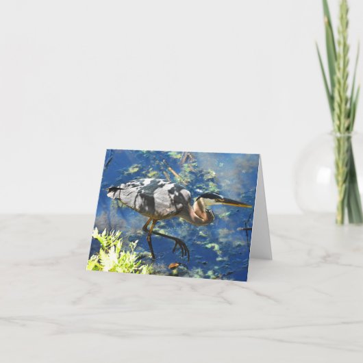 Prowl (Great Blue Heron #3) - carte blanche (Devant)