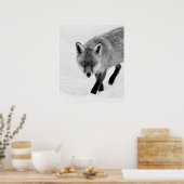 Prowling Fox Poster (Keuken)