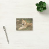 Prowling Lion Post-it® Notes (Kantoor)