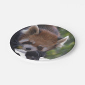 Prowling Red Panda Papieren Bordje (Gekanteld)