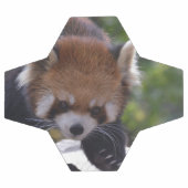 Prowling Red Panda Voetbal (Enkel)
