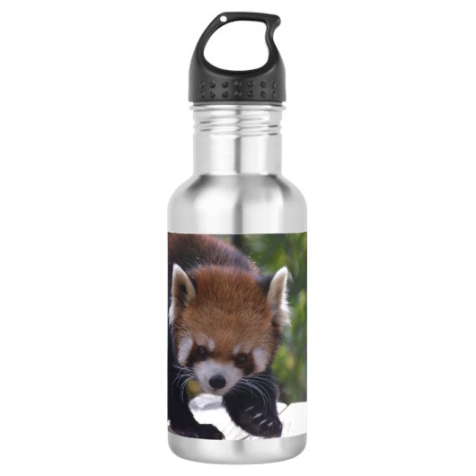 Prowling Red Panda Waterfles (Voorkant)