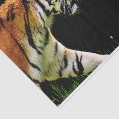 Prowling Tiger Tissuepapier (Detail)