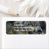 Prowling Wolf Mailing Étiquettes (En situation)