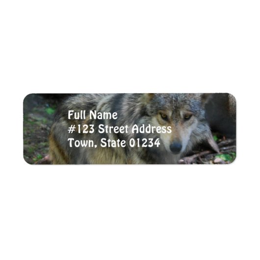 Prowling Wolf Mailing Étiquettes (Devant)