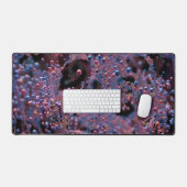 Proxima (Clavier et souris)