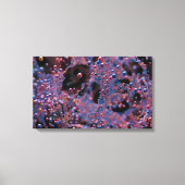 Proxima Canvas Afdruk (Voorkant)