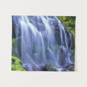 Proxy Falls in Oregons Centrale Cascade Bergen Wandkleed