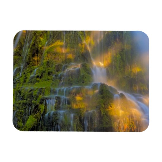 Proxy Falls Three Sisters Wilderness Oregon Magneet (Horizontaal)