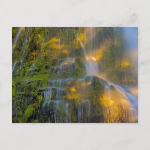 Proxy Herfsten Drie zussen Wilderness Oregon Briefkaart