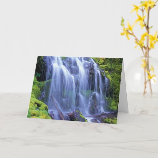 Proxy-Herfsten in de centrale Cascade-bergen van O Kaart (Gele Bloem)