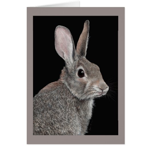 "Prudent" - Lapin de garenne (Devant)