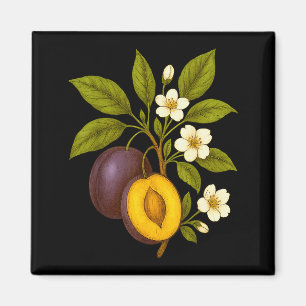 Pruim Botanisch Fruit Grafisch Boomgaard Boerderij Magneet