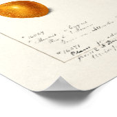 Pruimen Waterverf (Prunnus Domeatica) Poster (Hoek)