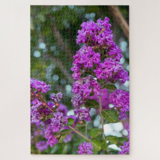 Pruimkleurige Lagerstroemia, Livermore Legpuzzel