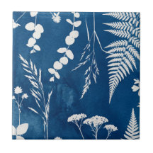 Pruisisch Indigo Blauw Cyanotype Varens Botanische