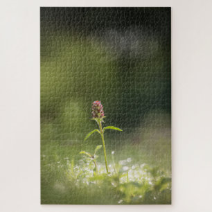 Prunella Natuur foto Legpuzzel