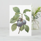 Prunes de jardin violettes par Redoute Invitation (Debout devant)