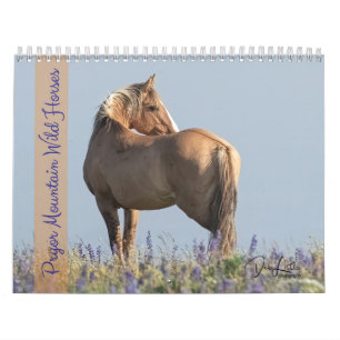 Pryor Mountain Wilde Paarden Kalender