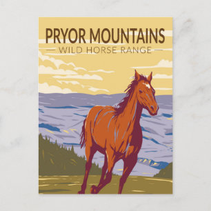 Pryor Mountains Wild Horse Range  Briefkaart