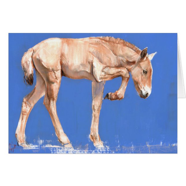 Przewalski Foal 2012 (Voorkant Horizontaal)
