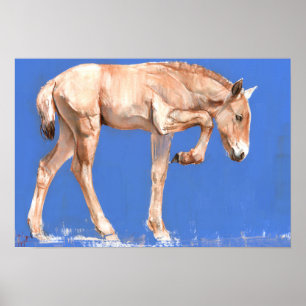 Przewalski Foal 2012 Poster