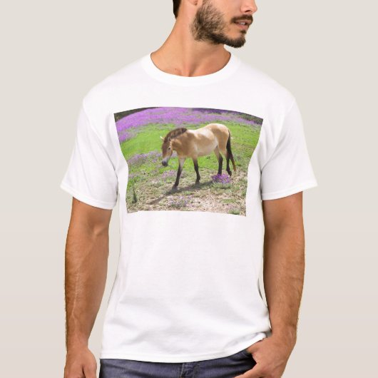 Przewalski Horse T-shirt (Voorkant)