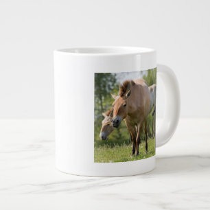 Przewalski's paard en veulen lopen jumbo mok