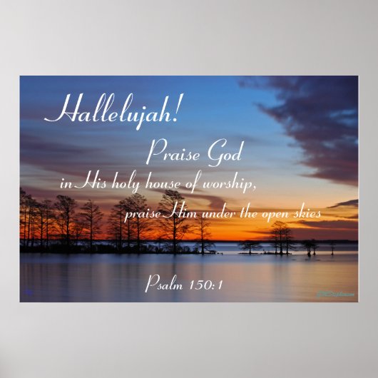 PSA 150:1 POSTER (Voorkant)