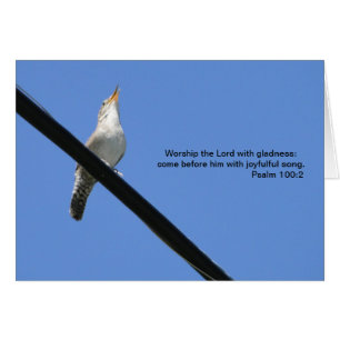 Psalm 100:2, Wren & Bluebird