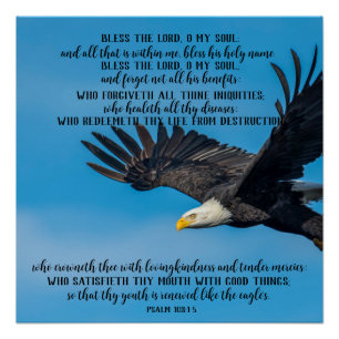 Psalm 103 Flying Eagle Glossy Poster Perfect Poster