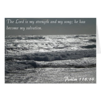 Psalm 118:14 - De Heer is mijn kracht