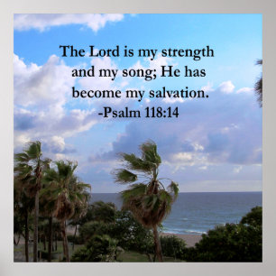 PSALM 118:14 SERENE OCEAAN FOTOONTWERP POSTER