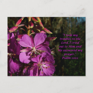 Psalm 120:1 Psalm of Enmoegement Briefkaart