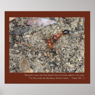 Psalm 128: 1, 2 Poster van de Manuscript