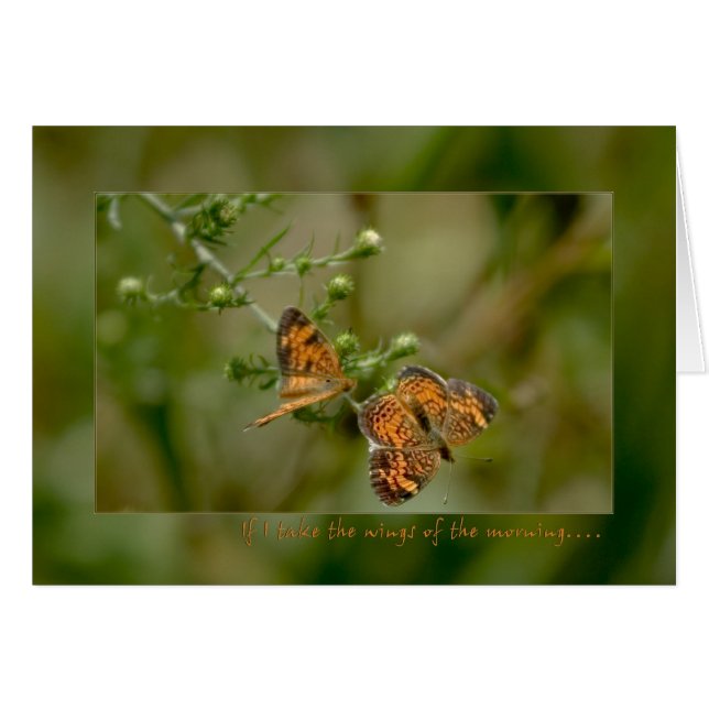 Psalm 139:9-10 Als ik 's ochtends opsta. (Voorkant Horizontaal)