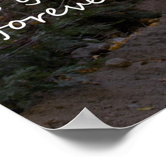 Psalm 16:11 pad poster (Hoek)