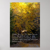 Psalm 16:11 pad poster (Voorkant)