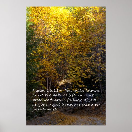 Psalm 16:11 pad poster (Voorkant)