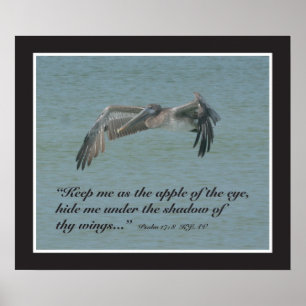 Psalm 17:8 Manuscript Druk Poster