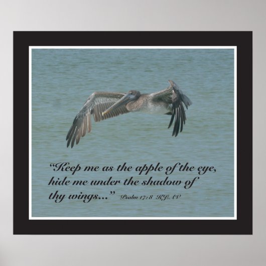 Psalm 17:8 Manuscript Druk Poster (Voorkant)