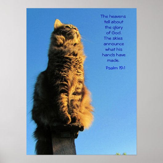 Psalm 19:1 Angel Cat Meme Poster (Voorkant)