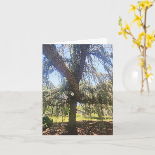 Psalm 1:1-3 Blank Card Kaart (Gele Bloem)