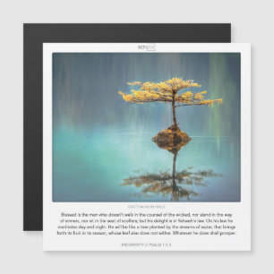 Psalm 1:1-3 WELVAART SCRIPIX magnetische kaart