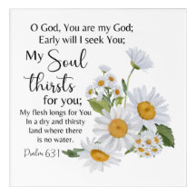 Psalm 23:1 Bijbeltekst Kamille bloemen