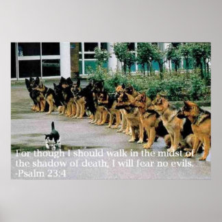 psalm 23:4 poster
